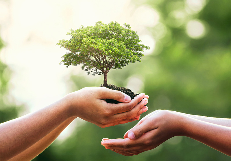 Z6·尊龙「中国」承诺